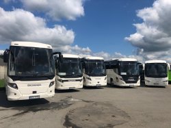 fotka autobusu