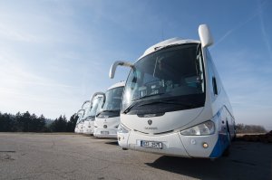 fotka autobusu
